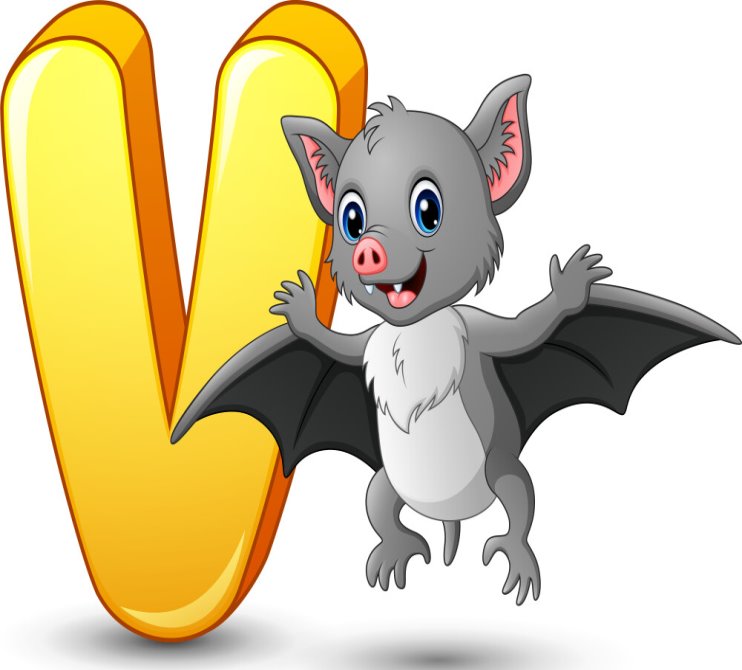 Letter v is for vampire bat cartoon alphabet Vector Image